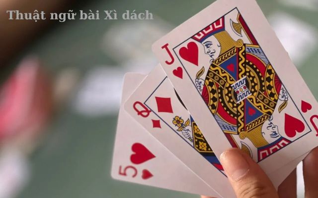 Ghi nhớ thuật ngữ hay sử dụng khi chơi Xì dách